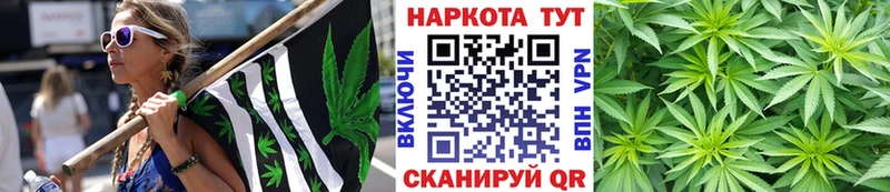Купить закладку Волхов Канабис  COCAIN  Псилоцибиновые грибы  Гашиш 