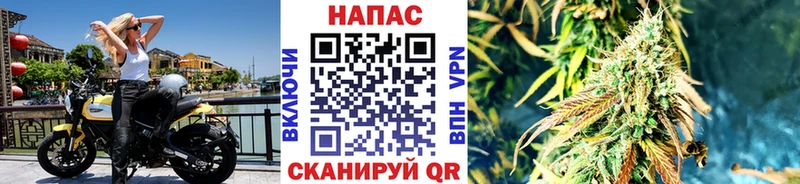 Марихуана SATIVA & INDICA hydra зеркало Волхов купить наркоту